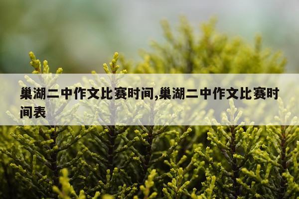 巢湖二中作文比赛时间,巢湖二中作文比赛时间表