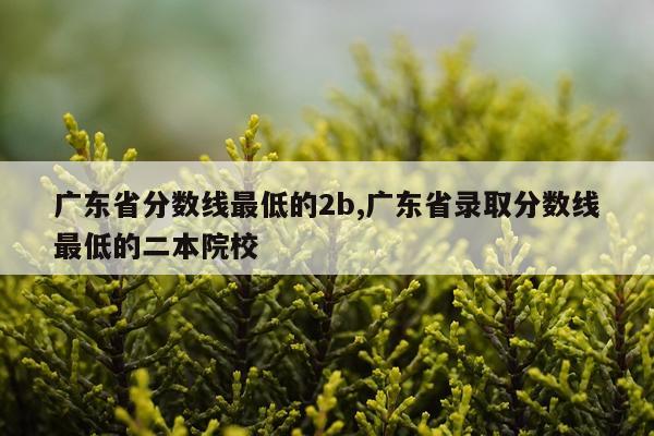 广东省分数线最低的2b,广东省录取分数线最低的二本院校