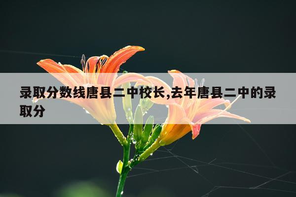 录取分数线唐县二中校长,去年唐县二中的录取分