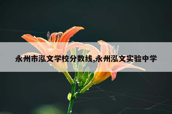 永州市泓文学校分数线,永州泓文实验中学