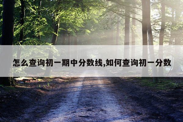 怎么查询初一期中分数线,如何查询初一分数
