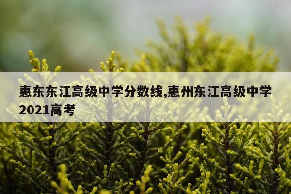 惠东东江高级中学分数线,惠州东江高级中学2021高考