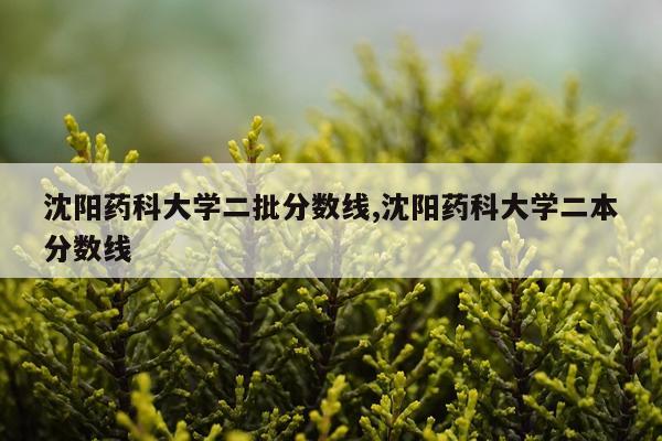 沈阳药科大学二批分数线,沈阳药科大学二本分数线