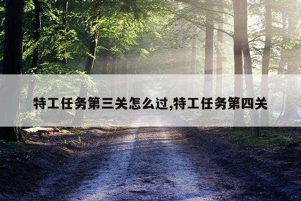 特工任务第三关怎么过,特工任务第四关