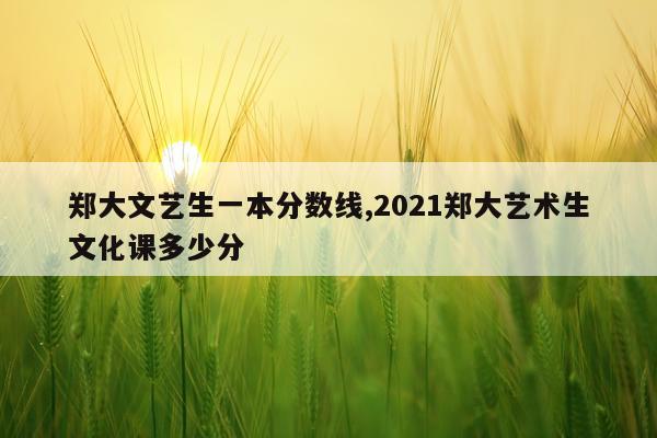 郑大文艺生一本分数线,2021郑大艺术生文化课多少分