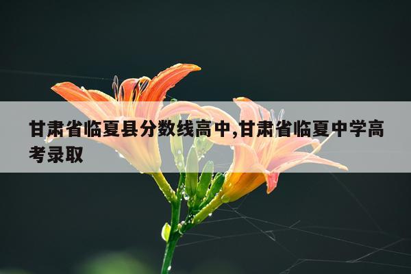 甘肃省临夏县分数线高中,甘肃省临夏中学高考录取