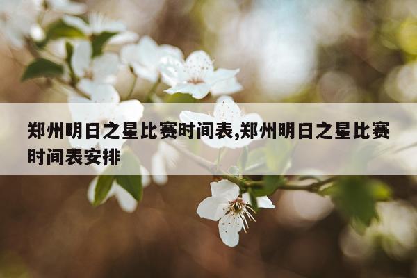 郑州明日之星比赛时间表,郑州明日之星比赛时间表安排