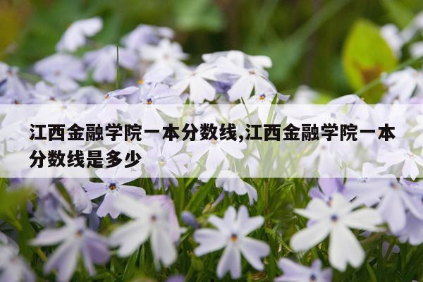 江西金融学院一本分数线,江西金融学院一本分数线是多少