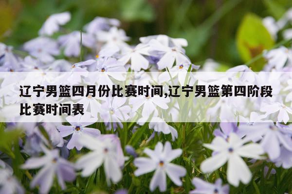 辽宁男篮四月份比赛时间,辽宁男篮第四阶段比赛时间表