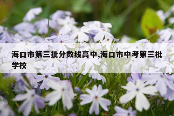 海口市第三批分数线高中,海口市中考第三批学校