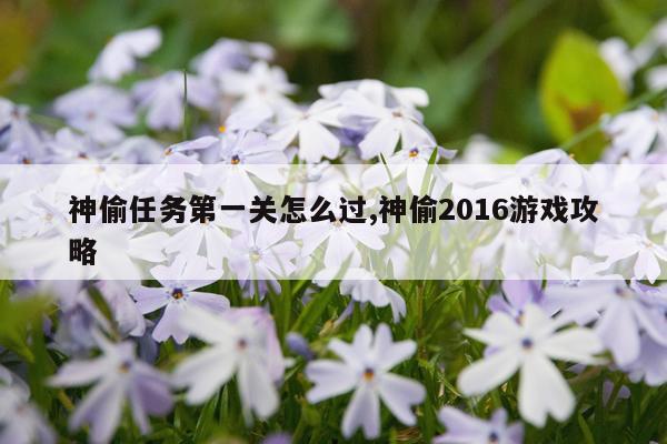 神偷任务第一关怎么过,神偷2016游戏攻略