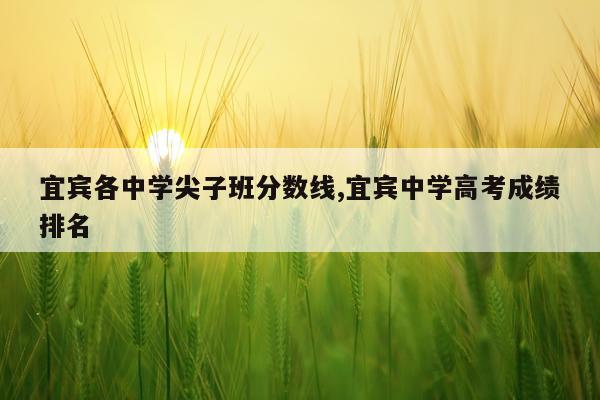 宜宾各中学尖子班分数线,宜宾中学高考成绩排名