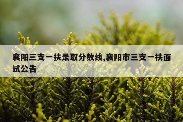 襄阳三支一扶录取分数线,襄阳市三支一扶面试公告