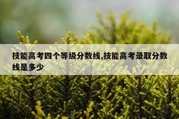 技能高考四个等级分数线,技能高考录取分数线是多少