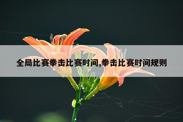 全局比赛拳击比赛时间,拳击比赛时间规则