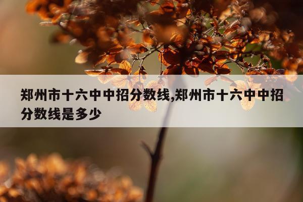郑州市十六中中招分数线,郑州市十六中中招分数线是多少