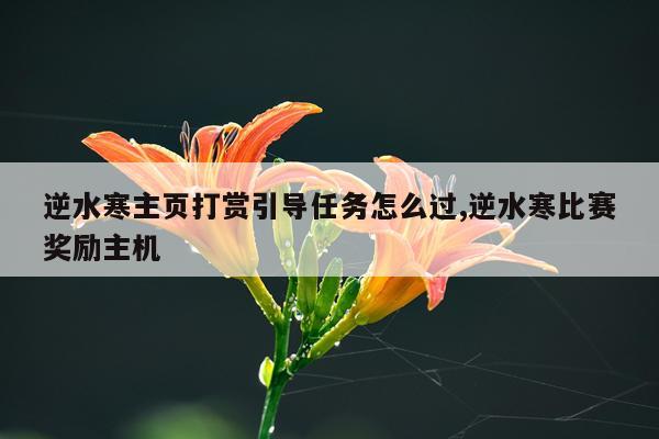 逆水寒主页打赏引导任务怎么过,逆水寒比赛奖励主机