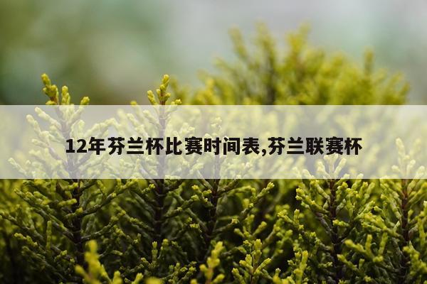 12年芬兰杯比赛时间表,芬兰联赛杯