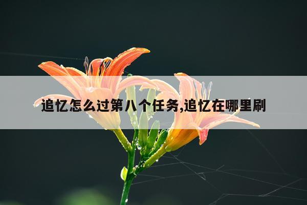 追忆怎么过第八个任务,追忆在哪里刷