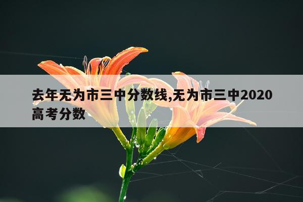 去年无为市三中分数线,无为市三中2020高考分数