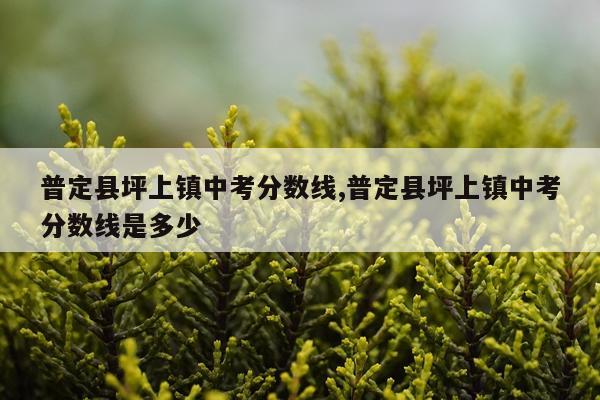 普定县坪上镇中考分数线,普定县坪上镇中考分数线是多少