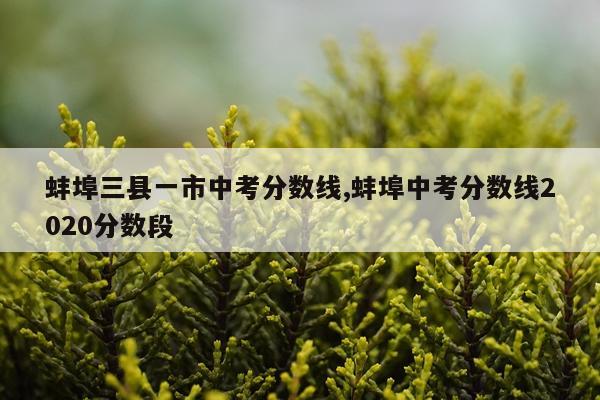 蚌埠三县一市中考分数线,蚌埠中考分数线2020分数段