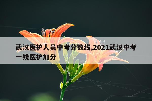 武汉医护人员中考分数线,2021武汉中考一线医护加分