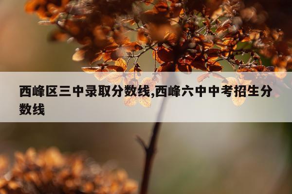 西峰区三中录取分数线,西峰六中中考招生分数线
