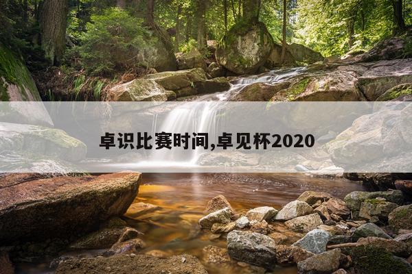 卓识比赛时间,卓见杯2020