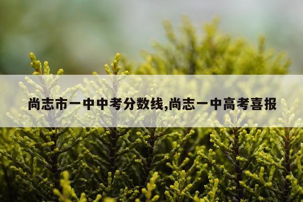 尚志市一中中考分数线,尚志一中高考喜报