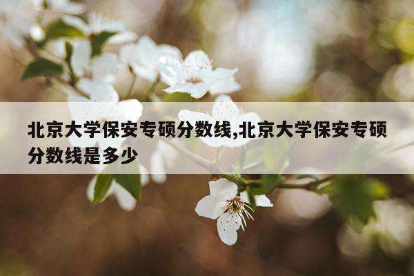 北京大学保安专硕分数线,北京大学保安专硕分数线是多少