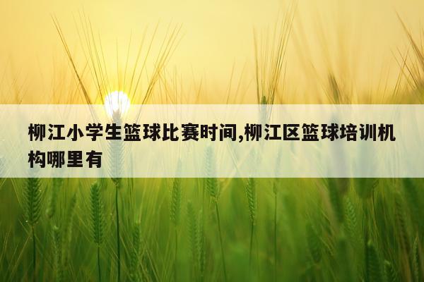 柳江小学生篮球比赛时间,柳江区篮球培训机构哪里有