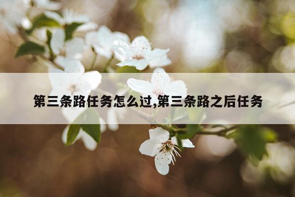 第三条路任务怎么过,第三条路之后任务