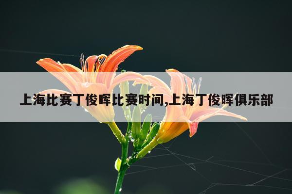 上海比赛丁俊晖比赛时间,上海丁俊晖俱乐部