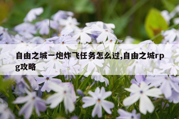 自由之城一炮炸飞任务怎么过,自由之城rpg攻略