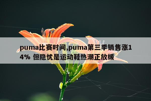 puma比赛时间,puma第三季销售涨14% 但隐忧是运动鞋热潮正放缓