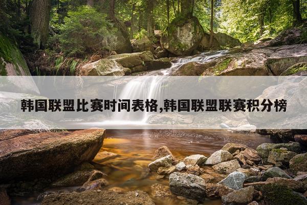 韩国联盟比赛时间表格,韩国联盟联赛积分榜
