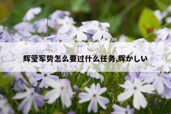 辉莹军势怎么要过什么任务,辉かしい
