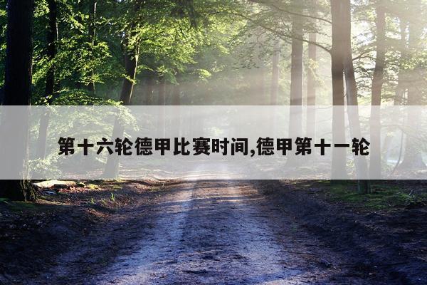 第十六轮德甲比赛时间,德甲第十一轮