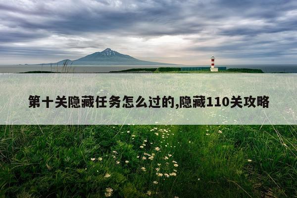 第十关隐藏任务怎么过的,隐藏110关攻略