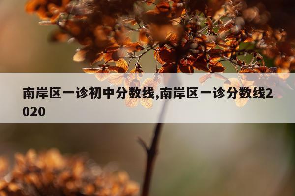 南岸区一诊初中分数线,南岸区一诊分数线2020
