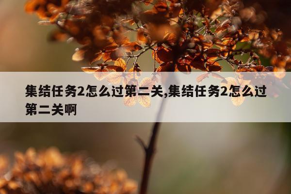 集结任务2怎么过第二关,集结任务2怎么过第二关啊