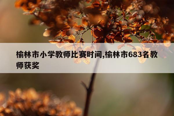 榆林市小学教师比赛时间,榆林市683名教师获奖