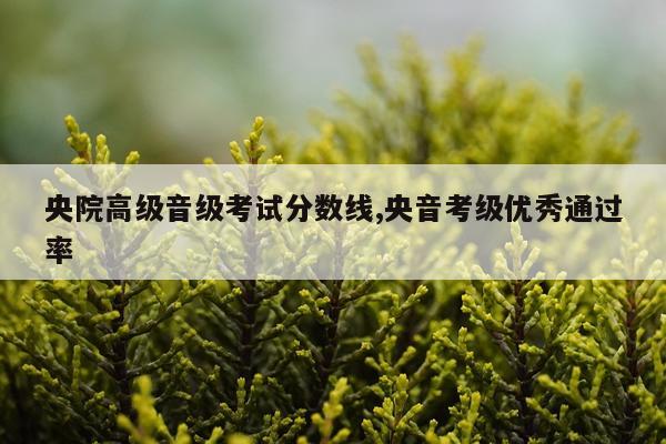 央院高级音级考试分数线,央音考级优秀通过率