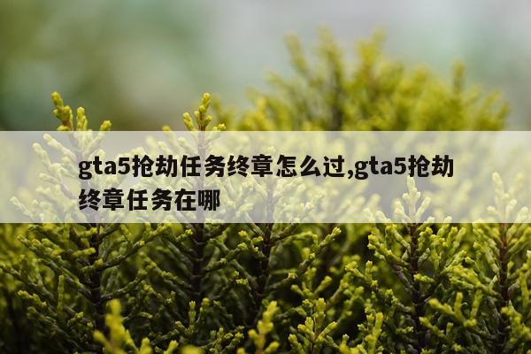 gta5抢劫任务终章怎么过,gta5抢劫终章任务在哪