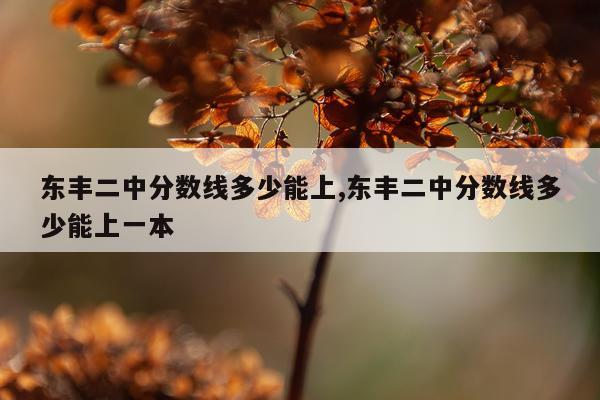 东丰二中分数线多少能上,东丰二中分数线多少能上一本