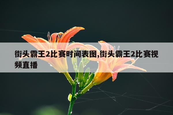 街头霸王2比赛时间表图,街头霸王2比赛视频直播