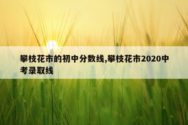 攀枝花市的初中分数线,攀枝花市2020中考录取线