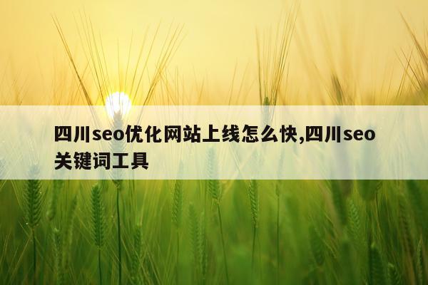 四川seo优化网站上线怎么快,四川seo关键词工具