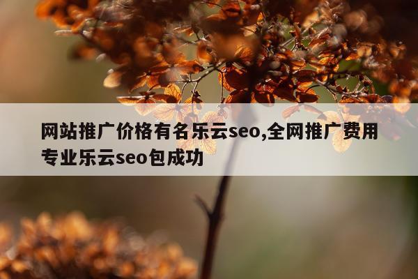 网站推广价格有名乐云seo,全网推广费用专业乐云seo包成功